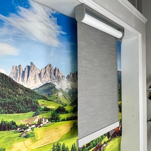 Mechanical Full Window <strong>Roller</strong> <strong>Blind</strong> Blackout Automatic <strong>Blinds</strong> <strong>Smart</strong> Shades Motorized <strong>Roller</strong> <strong>Blinds</strong> - Product Image 5