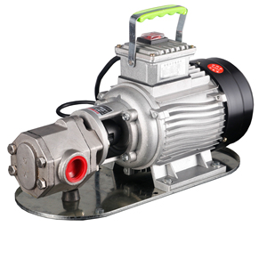 Bomba de Aceite de Alta Velocidad Más Vendida, Fabricada en Acero Inoxidable y Hierro Fundido para Aguas Residuales Suaves e Industrias Alimentarias ZS-B06 - Product Image 3