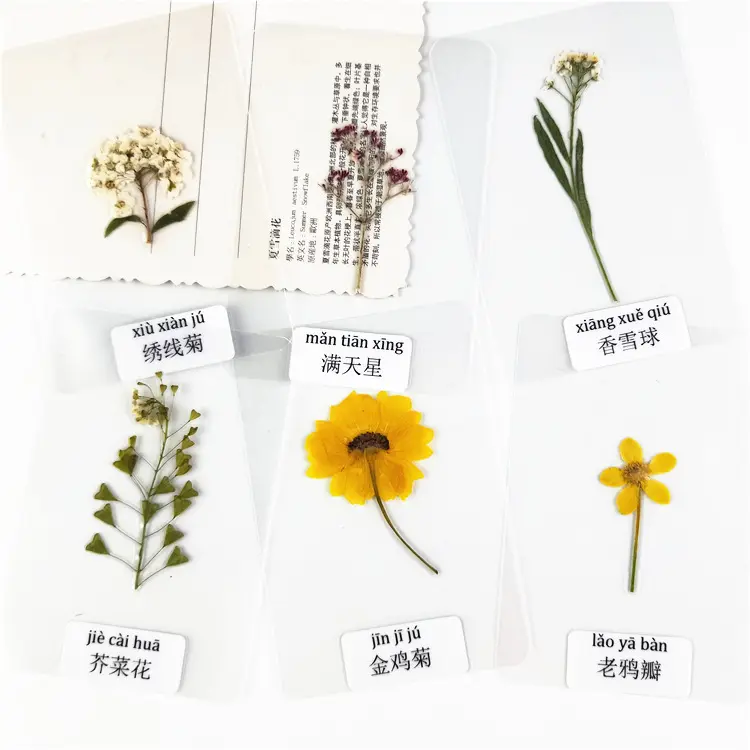 Hot Sale High Quality Non-Dyed Dried Flowers Fillers for DIY Epoxy Resin Jewelry Making