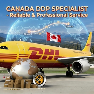 Spedizione Espressa Porta a Porta DDP con Assicurazione Tramite DHL/UPS dalla Cina agli Stati Uniti - Product Image 2