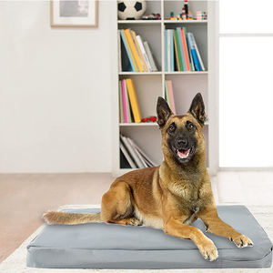 Funda Orgánica Impermeable Personalizada para Cama de Perro, Cubierta Impermeable para Sofá Pequeño - Product Image 3