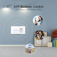 Bingoelec - Enchufes e Interruptores de Pared Inteligentes Wifi con Estándar Europeo, Multicanal, Táctiles, con Control de Luz Tuya