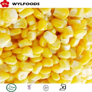 Ngô ngọt đông lạnh chất lượng cao, đạt chứng nhận BRC & Halal, chế biến IQF tươi và đông lạnh, dạng hạt nguyên quả - Product Image 2