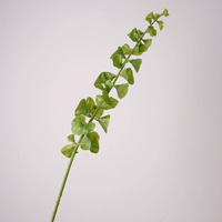 FL-942 Vente en gros de plantes artificielles de haute qualité, aspect réaliste, feuilles vertes de clochettes d'Irlande, verdure pour l'arrangement de table à la maison