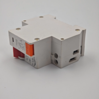 Disjoncteur différentiel miniature en plastique TPNL DPNL 230V 2P avec protection contre les surintensités et les fuites de courant RCBO MCB