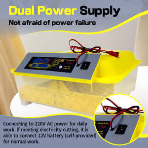 Điện kép gia cầm <span class=keywords><strong>mini</strong></span> 56 lồng ấp trứng điện kép hoàn toàn tự động để bán - Product Image 6