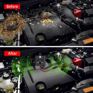 Répulsif à ultrasons pour rongeurs et martres, alimenté par batterie de voiture 12V - Product Image 4