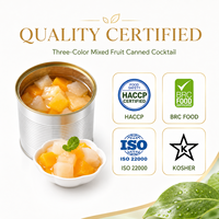 Mixed Fruit Cocktail Yellow Peach Pear Pineapple Canned Fruit Wholesale Factory Direct Custom Label Supplier