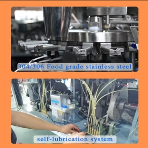 Vacuum Rotary Vacuum Packaging Machine for Individual Seafood Products Such As <strong>Dried</strong> <strong>Squid</strong> - Product Image 4