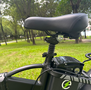 Bicicleta Eléctrica <span class=keywords><strong>DOOK</strong></span> 2025, 20 * 4.0 Pulgadas, Batería de Litio de 48V750W, Tubo Inferior, Neumáticos Gruesos para Nieve - Product Image 5