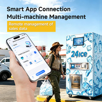 Distributore Automatico di Ghiaccio in Sacchetti ad Alto Profitto con Sistema ad Osmosi Inversa, Ideale per Pontili e Campeggi