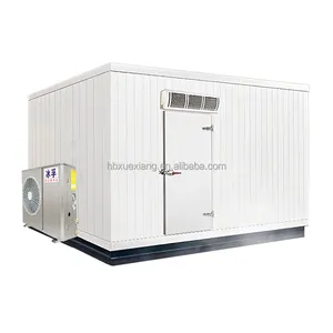 Cooling Container Freezer Container Walk In Freezer Cooler Room For Freezer Cold Storage