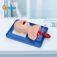 Modelo avanzado de intubación de tráquea pediátrica de PVC, maniquí de entrenamiento de vía aérea para bebés recién nacidos para ciencia médica