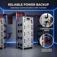 Batería de Almacenamiento Apilable de Alto Voltaje 40kWh LiFePO4 LFP, Módulo CFE-XH, 8000 Ciclos, IP65, para Sistemas Solares C&I, Fuera de Red y Microredes