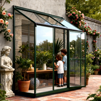 Serre moderne en aluminium avec structure métallique, design écologique, revêtement en poudre, facile à assembler pour la maison, la cour et le jardin