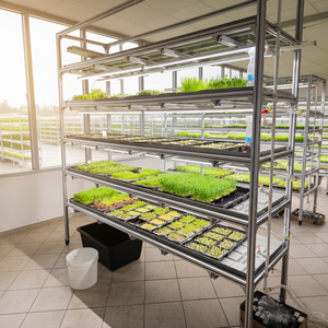Système de culture hydroponique économique à flux et reflux, avec plateaux de culture 4x8 et raccords de drainage, pour l'agriculture hors-sol, à monter soi-même, en promotion - Product Image 1