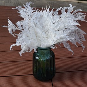 Foglie di Felce Fiocco di Neve Essiccate Eterne, Foglie di Felce Artificiali Lunghe 55cm, Decorazione Duratura per San Valentino - Product Image 6
