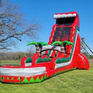 Toboggan aquatique gonflable commercial en PVC, toboggan géant pour enfants et adultes, location pour fêtes et entreprises - Product Image 3