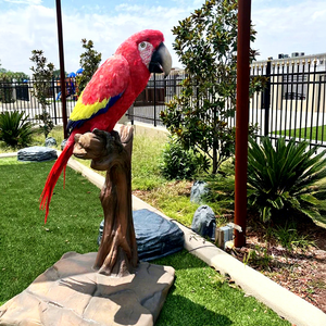 <span class=keywords><strong>Zoo</strong></span> Animal Modelo Tamaño real Animatronic Animales Simulación <span class=keywords><strong>Loro</strong></span> - Product Image 1