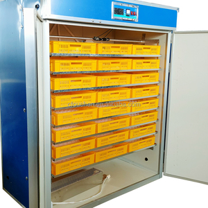 Ouchen — prise audio de poulet automatique, 2000 œufs, à bas <span class=keywords><strong>prix</strong></span>, vente en <span class=keywords><strong>jordan</strong></span> - Product Image 3