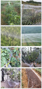 Tùy chỉnh-thực hiện Polyethylene (PE) nhựa nông nghiệp chim lưới nhà máy trực tiếp chống mưa đá lưới - Product Image 3