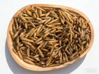 Larves de Mouches Soldat Noires Séchées Certifiées, Aliment Pur et Sûr de Qualité Supérieure pour l'Élevage Quotidien des Koi, des Poissons Perroquets et de la Volaille