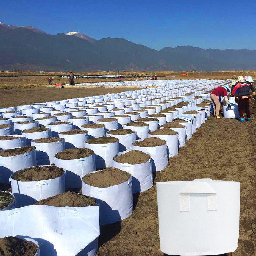 Ventas al por mayor de tela al aire libre Plantador de árboles Bolsa de plantación de control de raíces para plantas Bolsas de cultivo