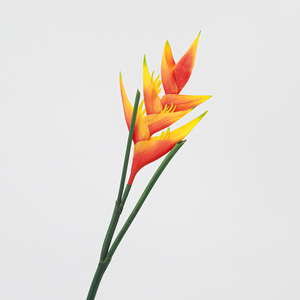 Vente en gros d'<span class=keywords><strong>orchid</strong></span>ées artificielles faites à la main, au toucher doux, en caoutchouc, pour arrangements de table pour la Saint-Valentin, Noël, les mariages et les festivals - Product Image 1