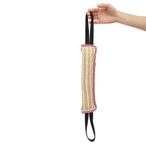 Jouet à mâcher pour chien, coussin, bâton à mordre, outil d'entraînement pour chiots et chatons - Product Image 1
