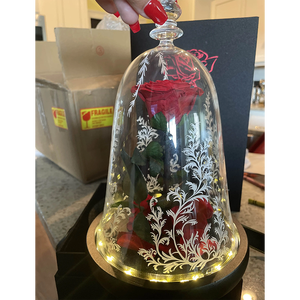 Cupula de <span class=keywords><strong>La</strong></span> Bella y <span class=keywords><strong>La</strong></span> <span class=keywords><strong>Bestia</strong></span> flor en caja de <span class=keywords><strong>La</strong></span> Bella y <span class=keywords><strong>La</strong></span> <span class=keywords><strong>Bestia</strong></span> eternidad rosas rojas en <span class=keywords><strong>la</strong></span> cúpula de cristal - Product Image 6