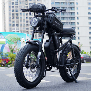 Vélo électrique tout-terrain Ridingtimes Z8PRO 20 pouces avec pneus larges, moteur 750W, batterie lithium 48V, vélo électrique de ville - Product Image 3