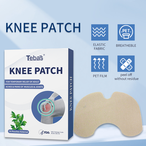 Lijitang 2025カスタマイズ関節膝骨格筋個人用中国石膏膝痛み軽減パッチ - Product Image 3