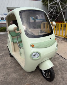 Tricycle électrique familial SURRIT deux places, batterie lithium, pour balades en quartier - Product Image 4
