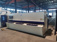 Système CNC E21S, cisaille à poutre oscillante hydraulique 6*4000 pour la découpe de tôles métalliques, personnalisable