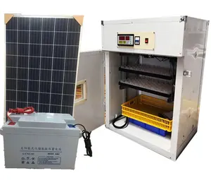 New Model Energy-saving Chicken Eggs Hatching Machine Solar Powered Egg Incubator