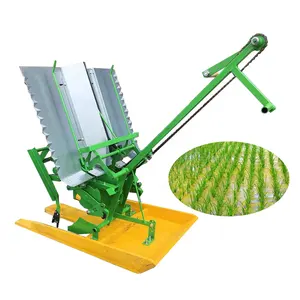 Machine de plantation de riz manuelle, w, 2 rangées