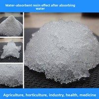 Résine polymère super absorbante (SAP) – Agent de rétention d'eau résistant à la sécheresse, poudre blanche, conservateur pour fleurs fraîches, pack de glace
