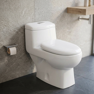 WC monobloc en céramique homologué CUPC, chasse d'eau siphonique, à poser au sol, blanc - Product Image 5