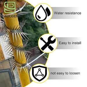 Großhandel mit neuen Materialien Edelstahl Anti Cat Mouse Snake Spikes für Gartenzaun Dach und Fenster - Product Image 3