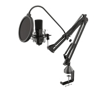 Équipement de studio OEM pour l'enregistrement de musique professionnelle Production musicale Microphone suspendu pour salle KTV filaire en métal noir