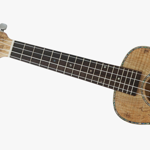 Ukelele de Concierto Aiersi de Arce Rizado de 24 Pulgadas, Hecho a Mano, Profesional, Instrumento de Cuerda Hawaiano, Logotipo Personalizado - Product Image 4