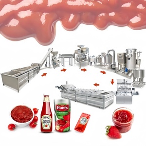 Ligne de production de pâte de tomates et de fruits séchés HNRB, machine de fabrication de sauce, de ketchup et de purée - Product Image 1