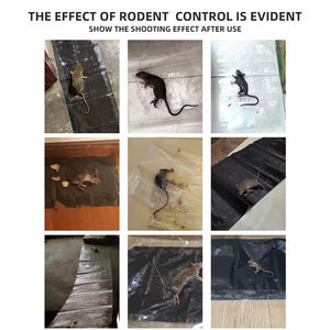 Couverture de colle de souris non toxique noire de haute qualité de vente directe d'usine, couverture de colle de souris, pièges de colle pour souris - Product Image 6