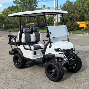 Voiturette de golf 4x4 à essence ou électrique avec 4 ou 6 sièges - Product Image 5