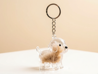 Boîte de rangement en plastique transparente en forme de chiot pour ranger les poils d'animaux