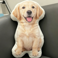 Almohadas Personalizadas con Fotos de Perros, Almohada Lumbar Sublimada con Forma Irregular para Gatos, Almohadas Decorativas para Exteriores con Fotos Personalizadas