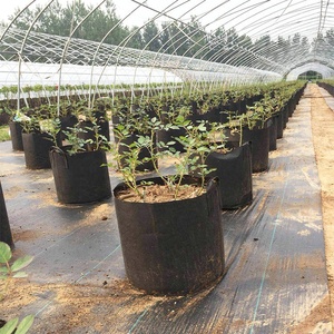 Sacs <span class=keywords><strong>de</strong></span> pépinière Non tissés biodégradables, sacs <span class=keywords><strong>de</strong></span> culture <span class=keywords><strong>de</strong></span> plantes, Pots <span class=keywords><strong>de</strong></span> semis en tissu, plantation bon marché, jardinage, <span class=keywords><strong>sac</strong></span> <span class=keywords><strong>de</strong></span> culture en feutre - Product Image 4
