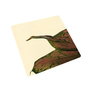 Fournisseur de tôles minces en acier inoxydable SS 304 316 430, feuille de métal, 0,5 MM 0,8 MM 1 MM 1,2 MM 2 MM, laminé à froid, finition 2B - Product Image 4