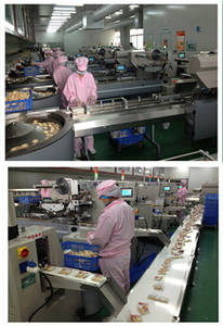 Best Price Chocolate Energy Bar Production Machine for Food Processing Lines Chocolate Energy Bar Production Machine - Product Image 2