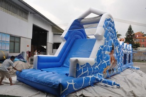 WINSUN Animal World Broken Ice Rush Jeu <span class=keywords><strong>de</strong></span> compétition Château gonflable Parcours d'obstacles gonflables - Product Image 2